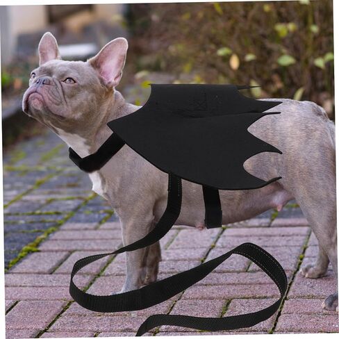 Toyvian Pet Leash مع Design Cat and Dog Harness Vest لجميع القديسين حزامًا فريدًا من الصدر لأزياء الحيوانات الأليفة اللطيفة للحفلات والاحتفالات in Saudi Arabia