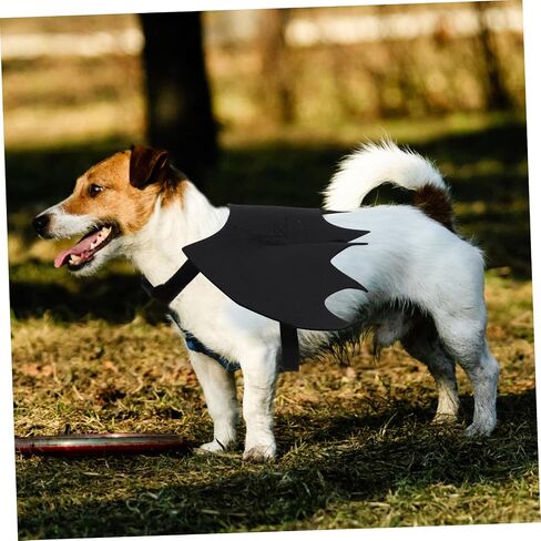 Toyvian Pet Leash مع Design Cat and Dog Harness Vest لجميع القديسين حزامًا فريدًا من الصدر لأزياء الحيوانات الأليفة اللطيفة للحفلات والاحتفالات in Saudi Arabia