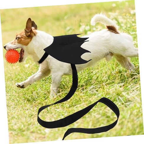 Toyvian Pet Leash مع Design Cat and Dog Harness Vest لجميع القديسين حزامًا فريدًا من الصدر لأزياء الحيوانات الأليفة اللطيفة للحفلات والاحتفالات in Saudi Arabia