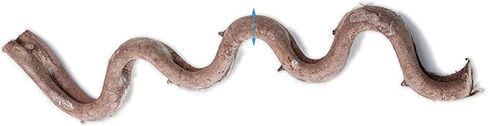 Reptile Climbing Branch Decor, Snake Climb Branch, Terrarium Decorations,Chameleon Cage Accessories, for Gecko Bearded Dragons Snake,Frogs (Length 30CM) in Saudi Arabia