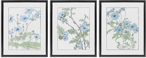 Stupell Industries Wild Blooms مع الخطوط العريضة التفصيلية 3 قطعة طبقة أسود مؤطر القماش مجموعة من تصميم CAD ، 21 × 17 in Kuwait