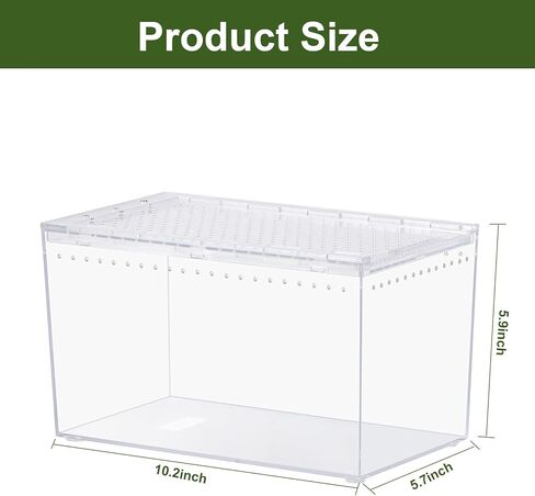 Reptile PC Terrarium 10.2" x 5.9" x 5.7" Full View Reptile Aquarium Tank Starter Kit for Insect Plant Gecko Spider Habitat Amphibians Enclosure with Hide Cave Feeding Bowl in Kuwait