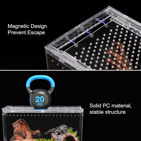 Reptile PC Terrarium 10.2" x 5.9" x 5.7" Full View Reptile Aquarium Tank Starter Kit for Insect Plant Gecko Spider Habitat Amphibians Enclosure with Hide Cave Feeding Bowl in Kuwait