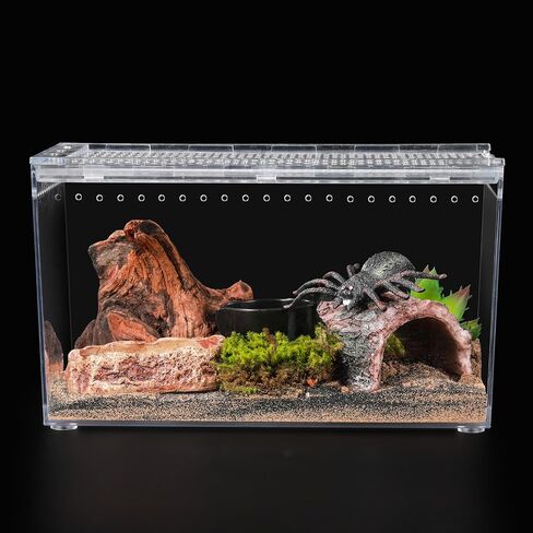 Reptile PC Terrarium 10.2" x 5.9" x 5.7" Full View Reptile Aquarium Tank Starter Kit for Insect Plant Gecko Spider Habitat Amphibians Enclosure with Hide Cave Feeding Bowl in Kuwait