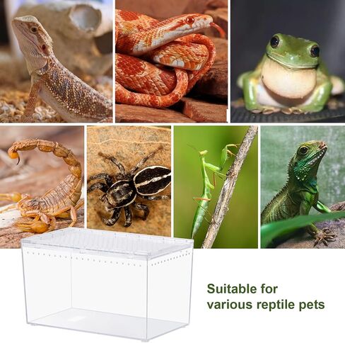Reptile PC Terrarium 10.2" x 5.9" x 5.7" Full View Reptile Aquarium Tank Starter Kit for Insect Plant Gecko Spider Habitat Amphibians Enclosure with Hide Cave Feeding Bowl in Kuwait