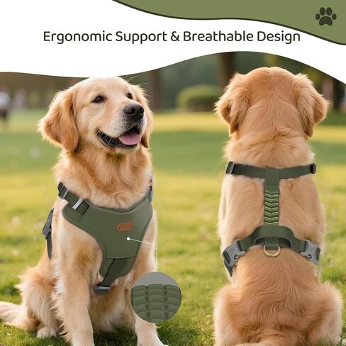 Xlife Dog Harness for XSmall Dogs - No-Pull Adjustable Vest Harness with 3D Air Cushion, Safety Buckle & No-Chock D Ring, Easy to Put On - Comfortable & Breathable for Walking and Running(Green XS) in Saudi Arabia