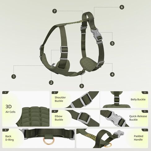 Xlife Dog Harness for XSmall Dogs - No-Pull Adjustable Vest Harness with 3D Air Cushion, Safety Buckle & No-Chock D Ring, Easy to Put On - Comfortable & Breathable for Walking and Running(Green XS) in Saudi Arabia