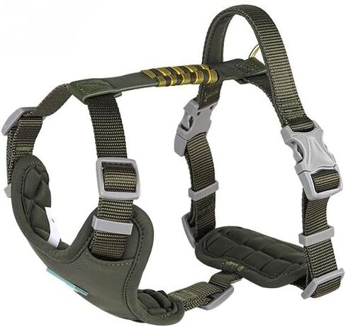 Xlife Dog Harness for XSmall Dogs - No-Pull Adjustable Vest Harness with 3D Air Cushion, Safety Buckle & No-Chock D Ring, Easy to Put On - Comfortable & Breathable for Walking and Running(Green XS) in Saudi Arabia