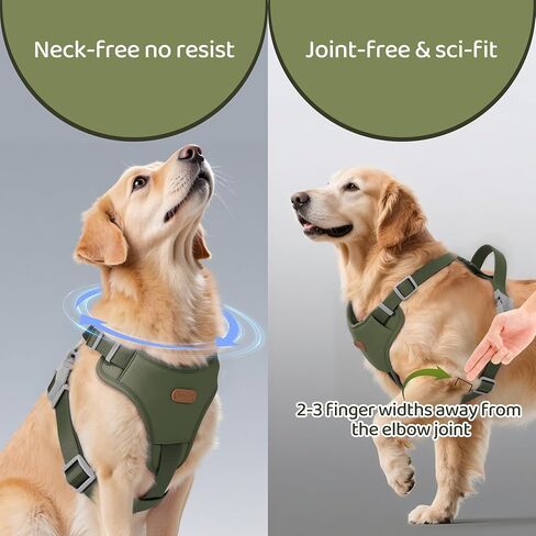 Xlife Dog Harness for XSmall Dogs - No-Pull Adjustable Vest Harness with 3D Air Cushion, Safety Buckle & No-Chock D Ring, Easy to Put On - Comfortable & Breathable for Walking and Running(Green XS) in Saudi Arabia