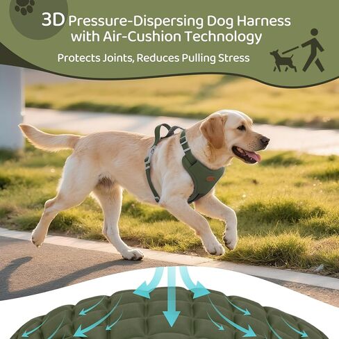 Xlife Dog Harness for XSmall Dogs - No-Pull Adjustable Vest Harness with 3D Air Cushion, Safety Buckle & No-Chock D Ring, Easy to Put On - Comfortable & Breathable for Walking and Running(Green XS) in Saudi Arabia