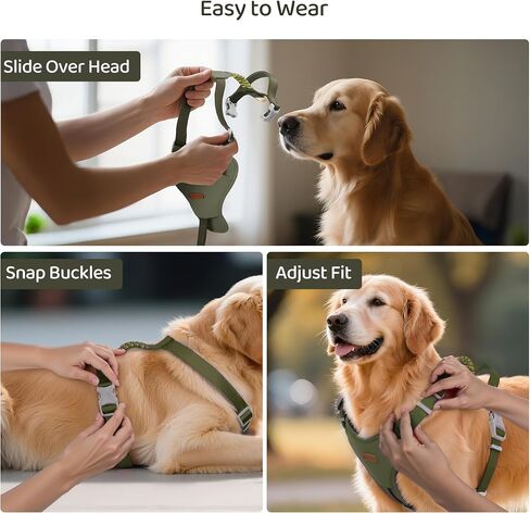 Xlife Dog Harness for XSmall Dogs - No-Pull Adjustable Vest Harness with 3D Air Cushion, Safety Buckle & No-Chock D Ring, Easy to Put On - Comfortable & Breathable for Walking and Running(Green XS) in Saudi Arabia