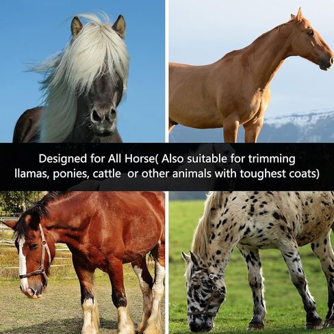 Duckboy Clippers Clippers لحيوانات المعاطف السميكة ، و 500 واط آلة قص كهربائية محترفة للماشية المهر الحصان والكلاب الكبيرة للماشية الاستمالة ، و 6 سرعات و 2 شفرات القص القابلة للفصل in Kuwait