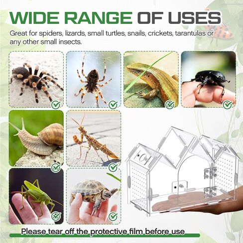 Weysat Jumping Spider Enclosure 9.5" x 3.9" x 6.7" Acrylic Tarantula Enclosure Castle Style Insect Terrarium with Magnetic Door Transparent Terrarium for Reptiles, Amphibians and Spiders in Saudi Arabia