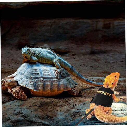 Totority قابلة للتعديل ملتحي Dragon Lizard Harness للزواحف الصغيرة و Geckos Escap in Kuwait