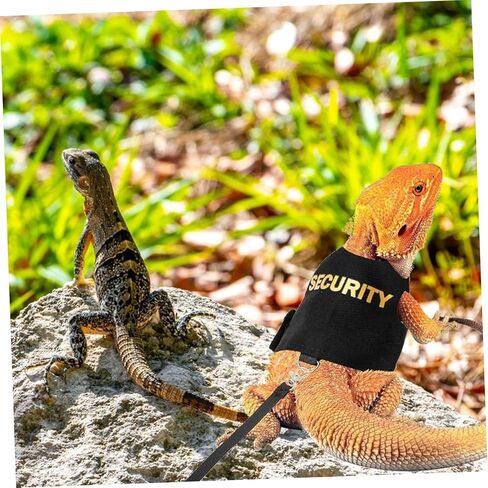 Totority قابلة للتعديل ملتحي Dragon Lizard Harness للزواحف الصغيرة و Geckos Escap in Kuwait