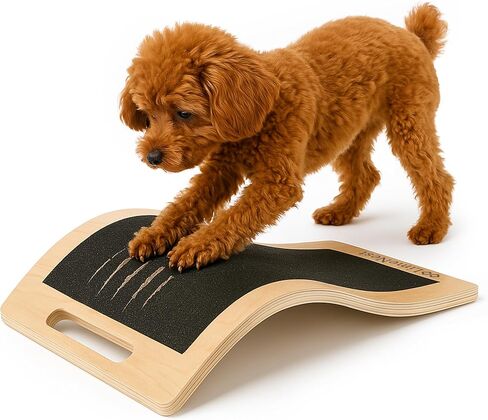 Dog Scratch Board for Nails – Dog Nail Scratch Pad with 2 Extra Sandpapers & Training Guide – Safe Dog Nail File Board for Natural Trimming – Dog Nail Board for All Sizes (Patent Pending) in Saudi Arabia