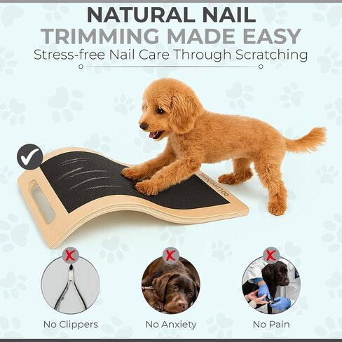 Dog Scratch Board for Nails – Dog Nail Scratch Pad with 2 Extra Sandpapers & Training Guide – Safe Dog Nail File Board for Natural Trimming – Dog Nail Board for All Sizes (Patent Pending) in Saudi Arabia