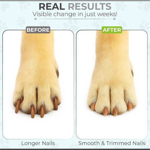 Dog Scratch Board for Nails – Dog Nail Scratch Pad with 2 Extra Sandpapers & Training Guide – Safe Dog Nail File Board for Natural Trimming – Dog Nail Board for All Sizes (Patent Pending) in Saudi Arabia