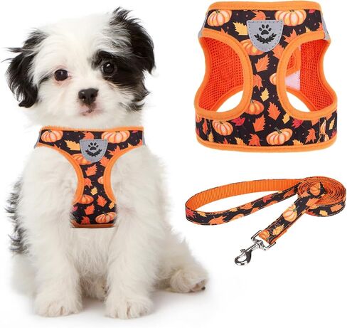 KOOLTAIL Fall Dog Harness and Leash Set for Small Medium Dogs, Thanksgiving Step in No Pull Comfort Padded Pet Vest, Adjustable Reflective Easy Walking Puppy Cats Harness Training, Leaf & Pumpkin S in Saudi Arabia