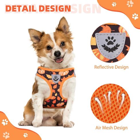 KOOLTAIL Fall Dog Harness and Leash Set for Small Medium Dogs, Thanksgiving Step in No Pull Comfort Padded Pet Vest, Adjustable Reflective Easy Walking Puppy Cats Harness Training, Leaf & Pumpkin S in Saudi Arabia
