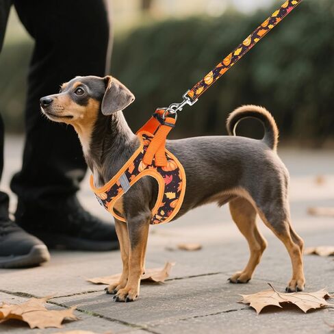 KOOLTAIL Fall Dog Harness and Leash Set for Small Medium Dogs, Thanksgiving Step in No Pull Comfort Padded Pet Vest, Adjustable Reflective Easy Walking Puppy Cats Harness Training, Leaf & Pumpkin S in Saudi Arabia