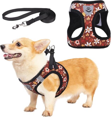 KOOLTAIL Fall Dog Harness and Leash Set for Small Medium Dogs, Thanksgiving Step in No Pull Comfort Padded Pet Vest, Adjustable Reflective Easy Walking Puppy Cats Harness Training, Leaf & Pumpkin S in Saudi Arabia