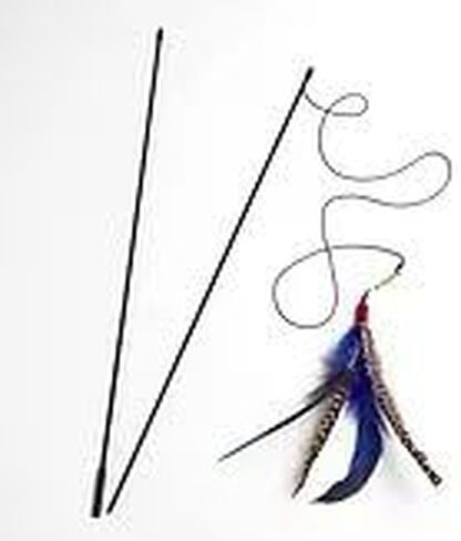 GoCat Da Bird Pull 2 Piece Pull Apart Rod & Bird, Handmade in The USA (1 Bird) in Saudi Arabia