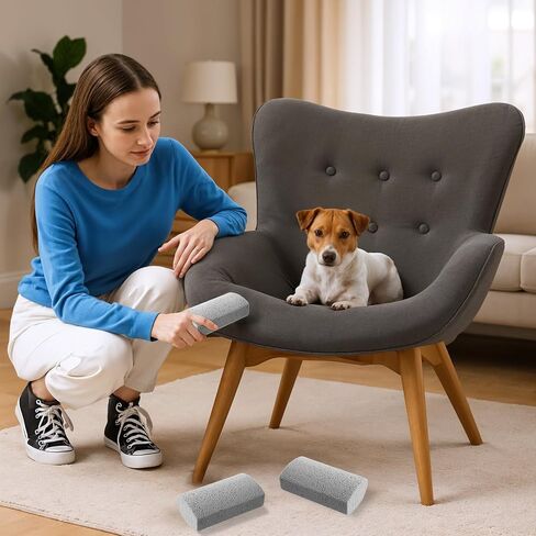 2 Pcs Pet Hair Block, Pet Hair Remover Grey Pumice Stone for Dog Cat Fur Removal Cleaning Dog Cat Fur Remover Stone Pets Rocks for Sofa Car Interior Bedding Carpet Couch Furniture in Saudi Arabia