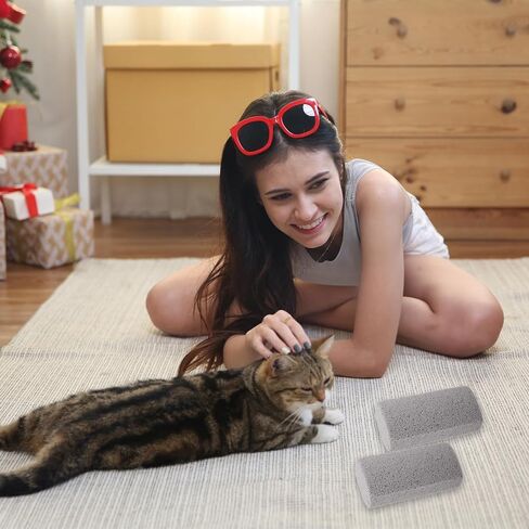 2 Pcs Pet Hair Remover Pumice Dog Cat Hair Stone Quickly Removal Cleaning Pet Fur Stone Reusable Upholstery Cleaner Rock Tool for Car Interior Couch Bedding Carpet Couch Furniture in Saudi Arabia
