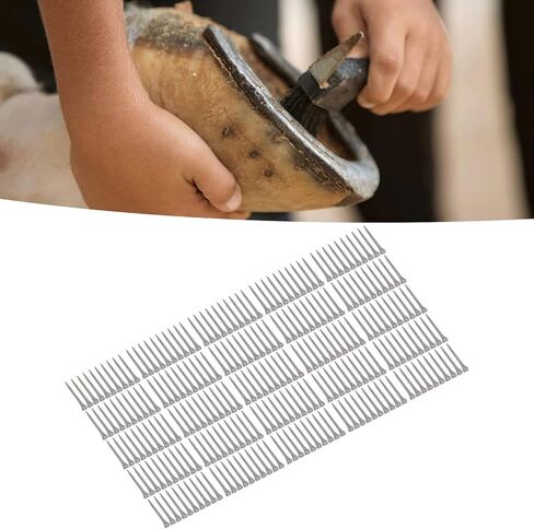 Horseshoe Nails High Hardness Low Carbon Steel Portable Farrier Tools for Horse Shoeing Aluminum Alloy Horseshoes 250PCS in Saudi Arabia