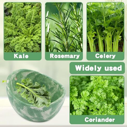 Pottery Herb Stripper Bowl, Handmade Ceramic Herb Peeling Cup with Different Hole Sizes for Separating Leaves and Stems(Color:Green) in Saudi Arabia