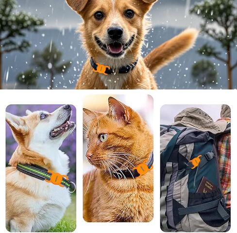 علامات الهواء ، مع تطبيق Finder (iOS فقط) ، جهاز الوقاية من خسارة طوق الحيوانات الأليفة ، طوق صغير مع غلاف واقٍ ، مكتشف في اتجاهين ، للاستخدام مع iOS (Orange) in Kuwait