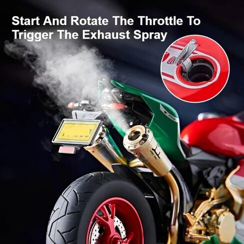 1/9 Large Metal DieCast 1299 High-Performance Model Spray-Simulated Start, Adult Collectible for Ducati Style (1299-Red) in Saudi Arabia