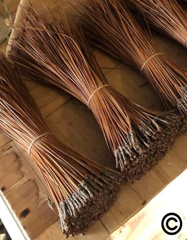 The Tall Pine Long Leaf Pine Needles for Basket Making Basket Weaving Basketry 8oz per Bundle in Kuwait
