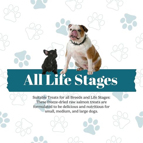 علاجات الكبد البقري للحيوانات الأليفة من ماكلوفين - مجففة بالتجميد ممتازة، مكون واحد، وجبة خفيفة عالية البروتين - 14 أونصة - مثالية للكلاب والقطط، خالية من الحبوب، وخالية من الغلوتين لمحبي الحيوانات الأليفة in Kuwait