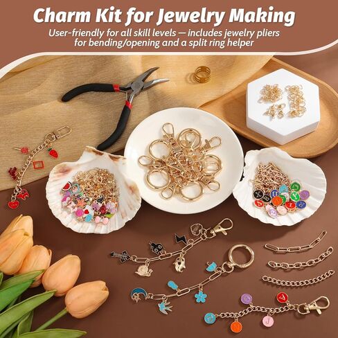 263Pcs Charms Lip Gloss Keychain Making Kit, DIY Craft Supplies with Charms, Key Chain Hooks, Jump Rings, Lobster Clasps, Chains & Tools, Jewelry Making Kit for Custom Keychains, Bags, Gifts in Saudi Arabia