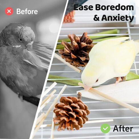 40 PCS Bird Parrot Toys ، لعبة علف الطيور الطبيعية للكوكاتيل ، طيور الحب ، الببغاء ، الببغاء الصغير إلى المتوسط in Kuwait