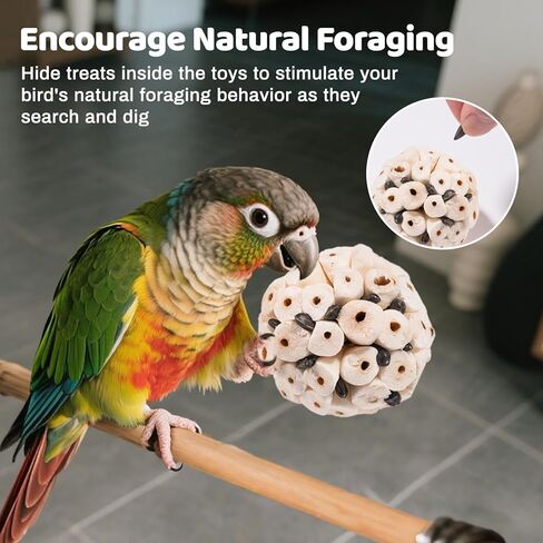 40 PCS Bird Parrot Toys ، لعبة علف الطيور الطبيعية للكوكاتيل ، طيور الحب ، الببغاء ، الببغاء الصغير إلى المتوسط in Kuwait