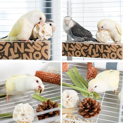 40 PCS Bird Parrot Toys ، لعبة علف الطيور الطبيعية للكوكاتيل ، طيور الحب ، الببغاء ، الببغاء الصغير إلى المتوسط in Kuwait