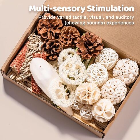 40 PCS Bird Parrot Toys ، لعبة علف الطيور الطبيعية للكوكاتيل ، طيور الحب ، الببغاء ، الببغاء الصغير إلى المتوسط in Kuwait