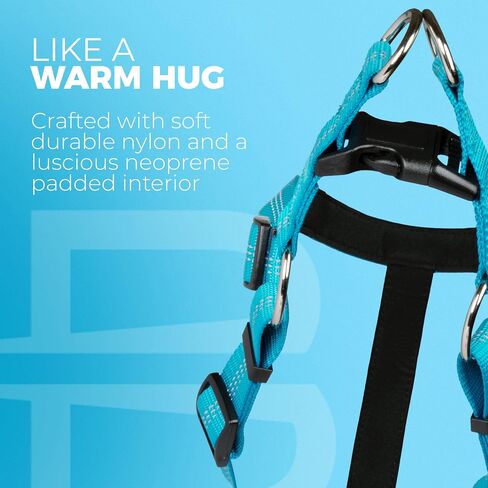 BLAZIN Reflective Dog Harness - 'Color Me Happy!' Adjustable Step-in Reflective Nylon Vest Harness - Neoprene Padded for Extra Comfort (X-Small, Blue) in Kuwait