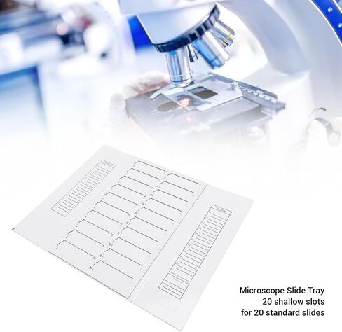 Microscope Slide Tray 20 Places Cardboard Foldable Slide Storage Organizer 8x2.5cm Slot Size in Saudi Arabia