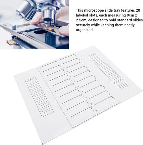 Microscope Slide Tray 20 Places Cardboard Foldable Slide Storage Organizer 8x2.5cm Slot Size in Saudi Arabia