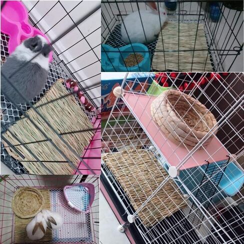 Grass Mat for Rabbit Bunny Chew Toys Woven Bed Mat for Guinea Pig Chinchilla Squirrel Hamster Cat Dog and Small Animal (8PCS Grass mat) in Saudi Arabia