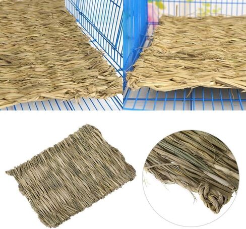 Grass Mat for Rabbit Bunny Chew Toys Woven Bed Mat for Guinea Pig Chinchilla Squirrel Hamster Cat Dog and Small Animal (8PCS Grass mat) in Saudi Arabia