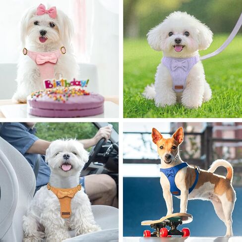 لا تسخير الكلب الصغير ومجموعة المقود ، وتسخير جرو قابل للتعديل لخطودي صغير XS XXS Girl Dogs ، من جلد الغزال الناعم لا خنق والهروب in Kuwait