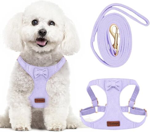 لا تسخير الكلب الصغير ومجموعة المقود ، وتسخير جرو قابل للتعديل لخطودي صغير XS XXS Girl Dogs ، من جلد الغزال الناعم لا خنق والهروب in Kuwait