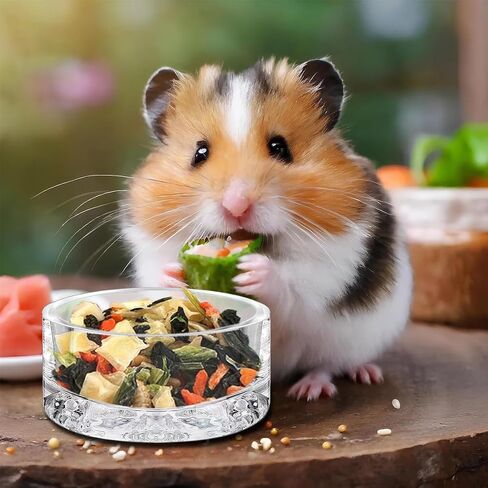 2 Pcs Hamster Water Bowls Glass Hamster Food Bowls Mountain Style Drinking Bowls Anti Turning for Dwarf Syrian Hamsters Guinea Pig Gerbils Mice Hedgehog Rats Chinchilla-Sized Small Pets (Amber) in Saudi Arabia