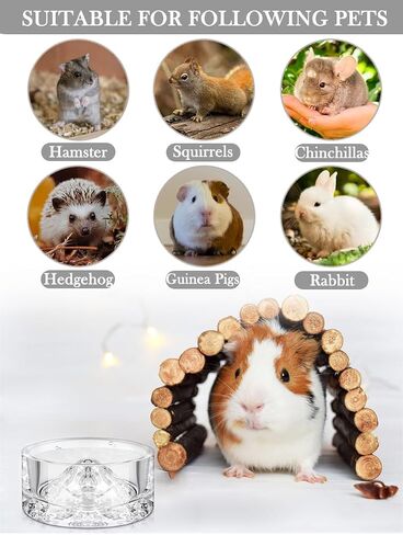 2 Pcs Hamster Water Bowls Glass Hamster Food Bowls Mountain Style Drinking Bowls Anti Turning for Dwarf Syrian Hamsters Guinea Pig Gerbils Mice Hedgehog Rats Chinchilla-Sized Small Pets (Amber) in Saudi Arabia