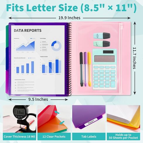 Binditek 12-Pocket Poly Project Organizer, Heavy-Duty Poly Cover, Clear Front Pocket, 6-Color Dividers with 1/3-Cut Tabs, Fixed Zipper Pouch, Letter-Size, Pink in Saudi Arabia